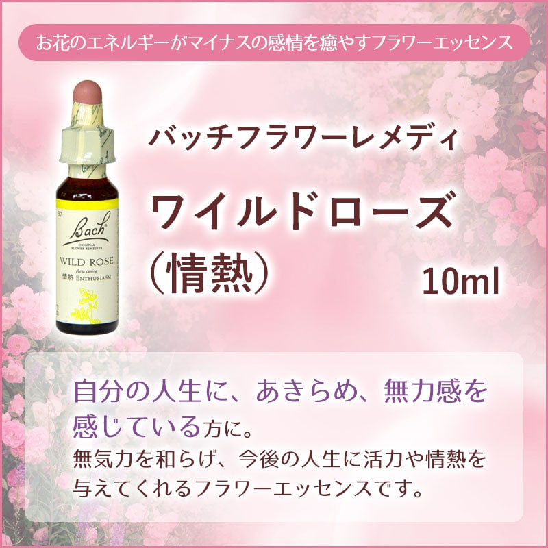 ワイルドローズ（情熱）《バッチフラワーレメディ》10ml｜フラワー