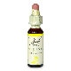 ワイルドローズ（情熱）《バッチフラワーレメディ》10ml