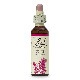 パイン（Pine）（許し） アルコールベース《バッチフラワーレメディ》20ml