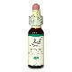 セントーリー（自己主張）《バッチフラワーレメディ》10ml