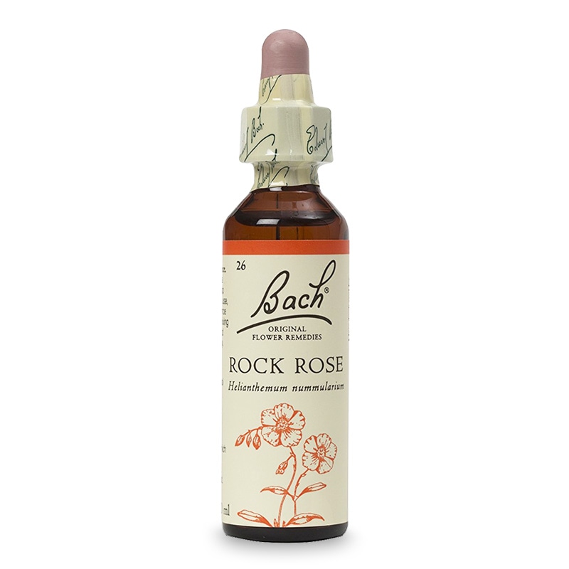 ロックローズ（克服） アルコールベース《バッチフラワーレメディ