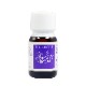 フキノトウ（芽生え）《マウントフジフラワーエッセンス》10ml