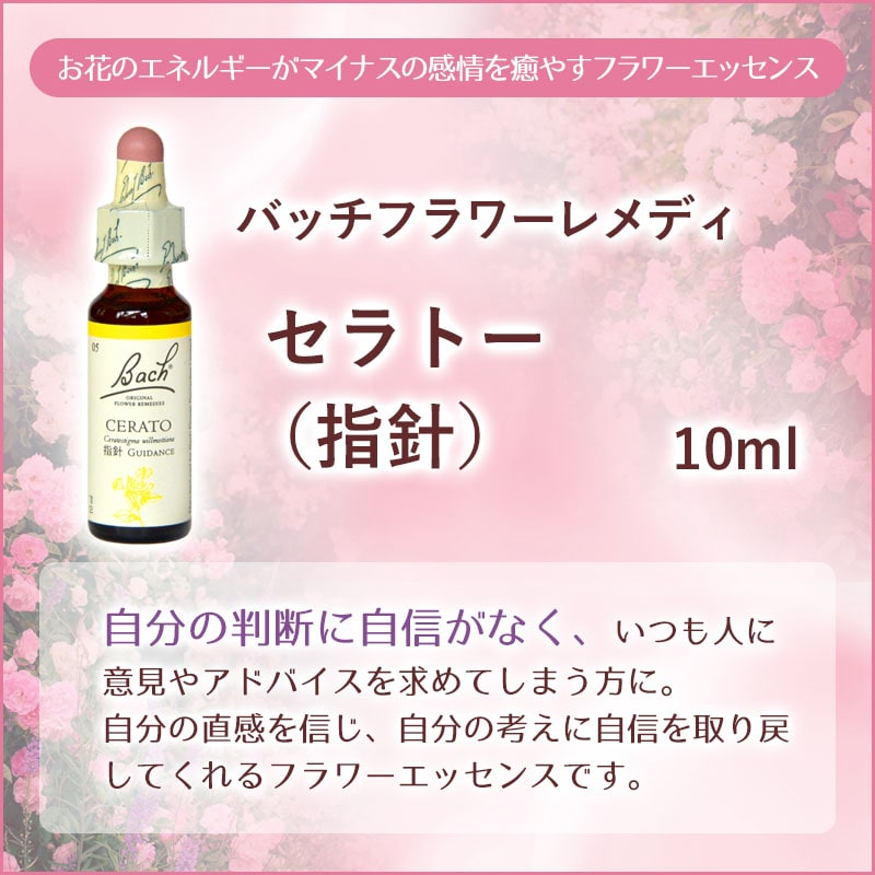 ����ȡ��ʻؿˡˡԥХå��ե����ǥ���10ml