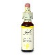 ����ȡ��ʻؿˡˡԥХå��ե����ǥ���10ml