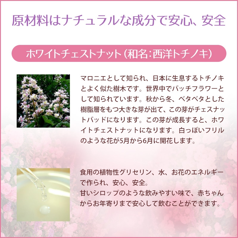 ホワイトチェストナット（静謐）《バッチフラワーレメディ》10ml