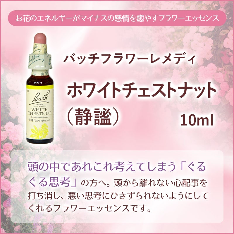 ホワイトチェストナット（静謐）《バッチフラワーレメディ》10ml
