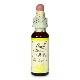 ホワイトチェストナット（静謐）《バッチフラワーレメディ》10ml