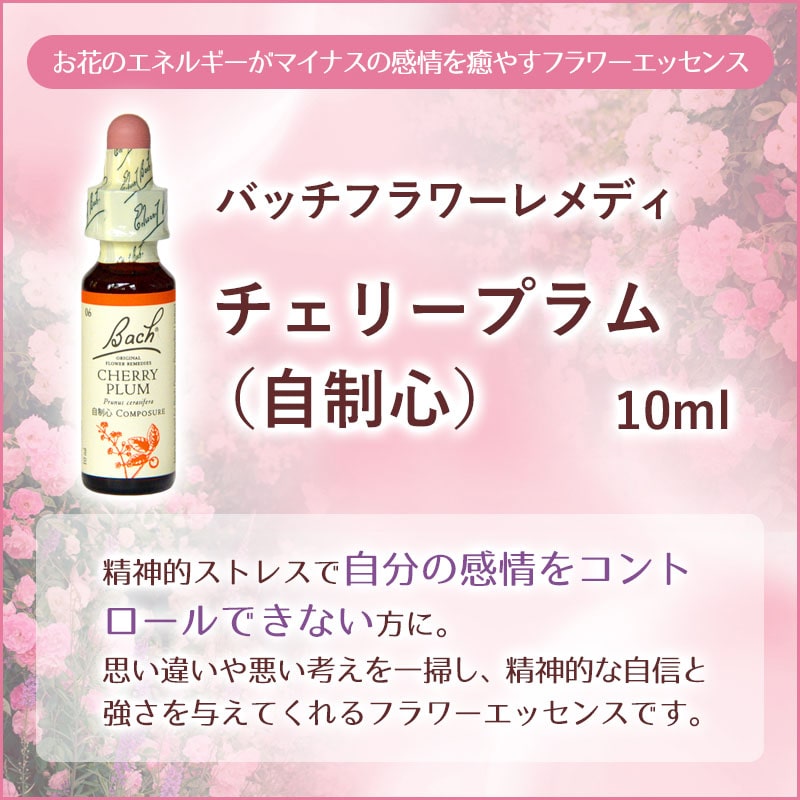 �����꡼�ץ��ʼ������ˡԥХå��ե����ǥ���10ml