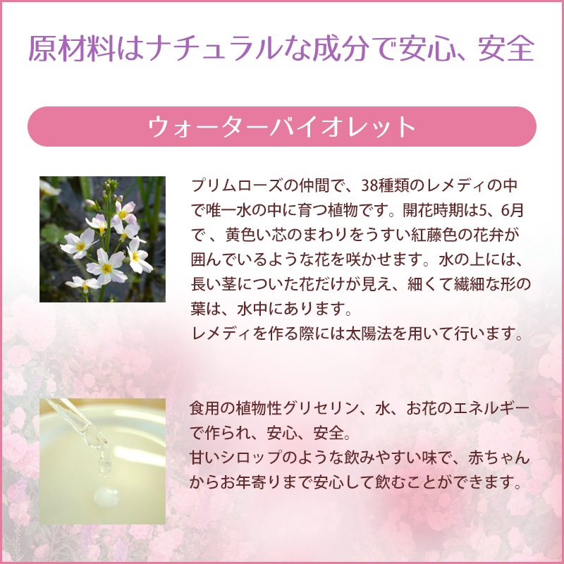 �����������Х�����åȡʤĤʤ���ˡԥХå��ե����ǥ���10ml