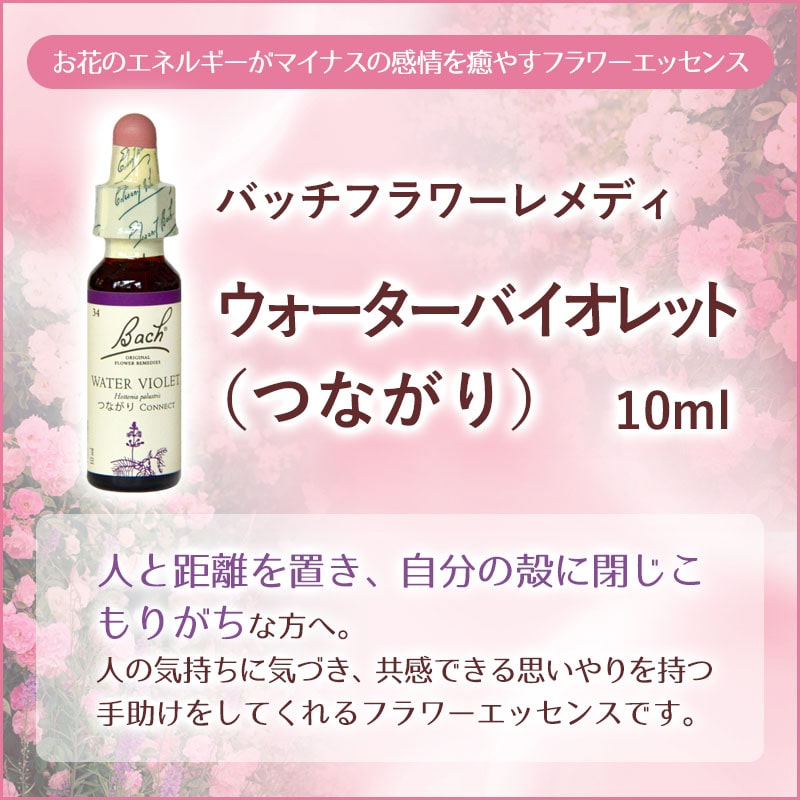 �����������Х�����åȡʤĤʤ���ˡԥХå��ե����ǥ���10ml