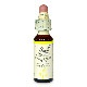 チェストナットバッド（判断力）《バッチフラワーレメディ》10ml