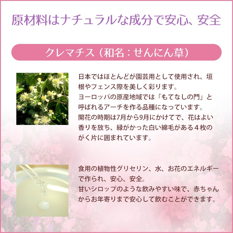 クレマチス（集中力）《バッチフラワーレメディ》10ml｜フラワー