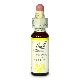クレマチス（集中力）《バッチフラワーレメディ》10ml