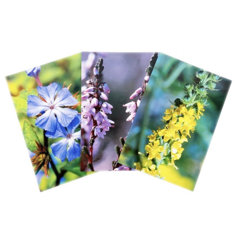 Healing Herbs フラワーエッセンス 木箱入り　ポストカード付 取寄せ品】フラワーカード《ヒーリングハーブス》｜フラワーレメディ
