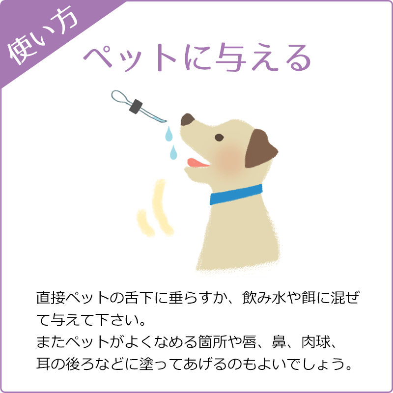 �쥹���塼���ǥ� ���륳����١����ԥХå��ե����ǥ���20ml