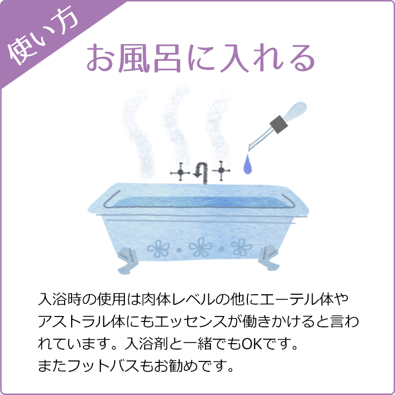 �쥹���塼���ǥ� ���륳����١����ԥХå��ե����ǥ���20ml