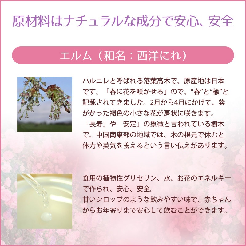 �����ʥ��ݡ��ȡˡԥХå��ե����ǥ���10ml