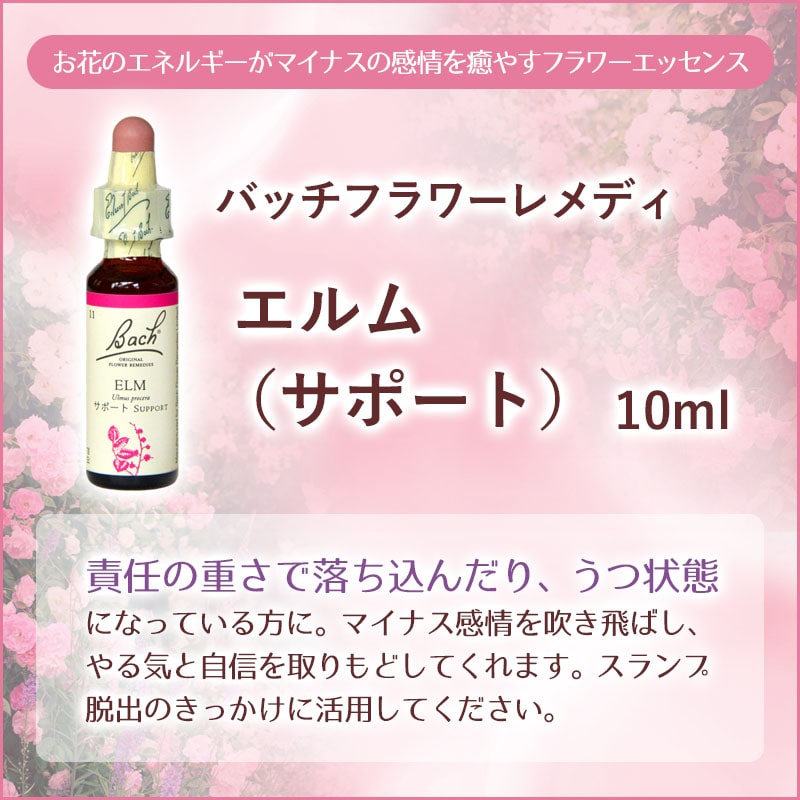 �����ʥ��ݡ��ȡˡԥХå��ե����ǥ���10ml