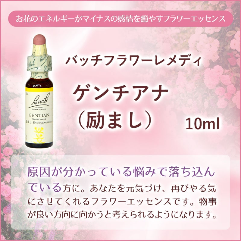 ゲンチアナ（励まし）《バッチフラワーレメディ》10ml｜フラワー