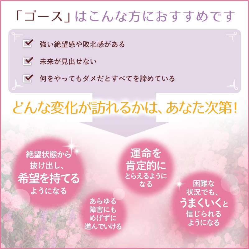 �������ʴ�˾�ˡԥХå��ե����ǥ���10ml