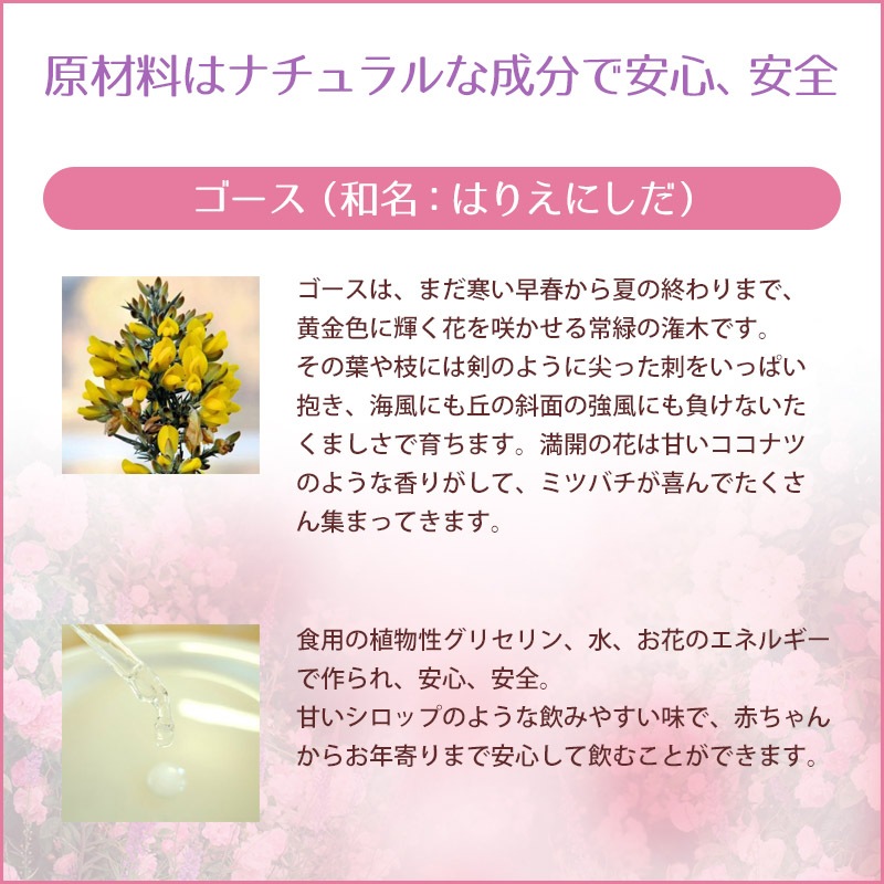 �������ʴ�˾�ˡԥХå��ե����ǥ���10ml