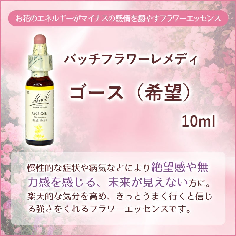 �������ʴ�˾�ˡԥХå��ե����ǥ���10ml