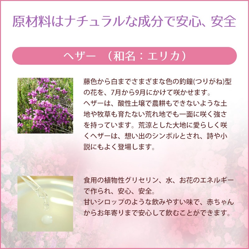 ヘザー（受容）《バッチフラワーレメディ》10ml｜フラワーレメディ【公式】