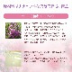 ヘザー（受容）《バッチフラワーレメディ》10ml