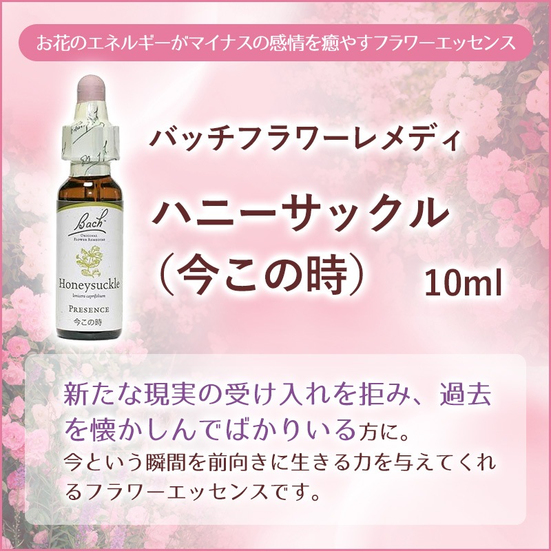 �ϥˡ����å���ʺ����λ��ˡԥХå��ե����ǥ���10ml