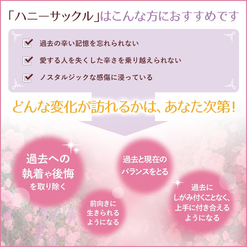 �ϥˡ����å���ʺ����λ��ˡԥХå��ե����ǥ���10ml