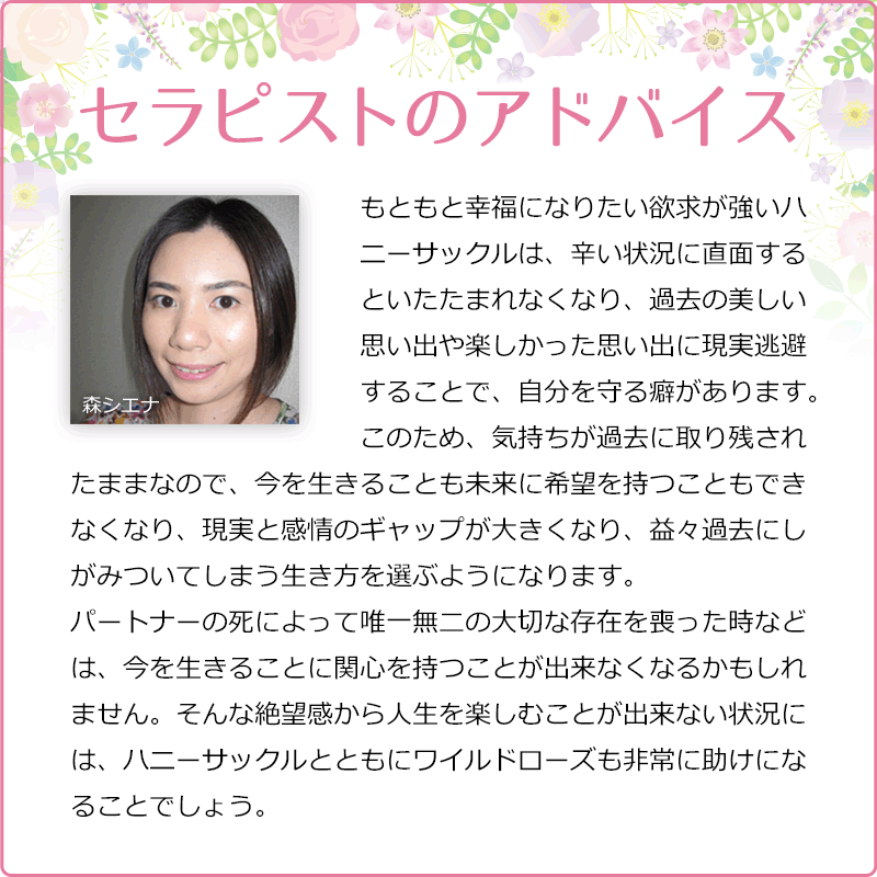 �ϥˡ����å���ʺ����λ��ˡԥХå��ե����ǥ���10ml