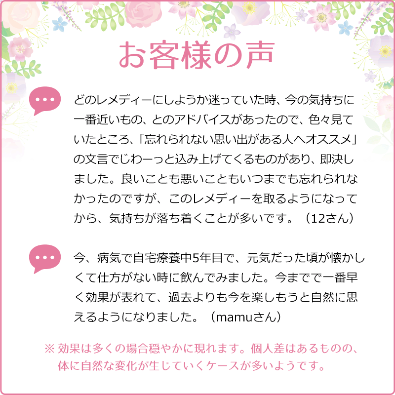 �ϥˡ����å���ʺ����λ��ˡԥХå��ե����ǥ���10ml