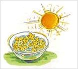 ѥ󥹡ǦϡˡԥХåեǥ10ml