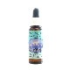 ブリーディング ハート《アラスカンエッセンス》7.5ml