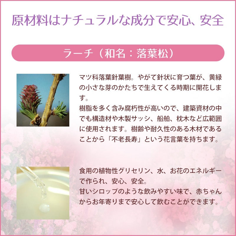 �顼���ʼ����ˡԥХå��ե����ǥ���10ml