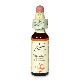 ミムラス（勇気）《バッチフラワーレメディ》10ml
