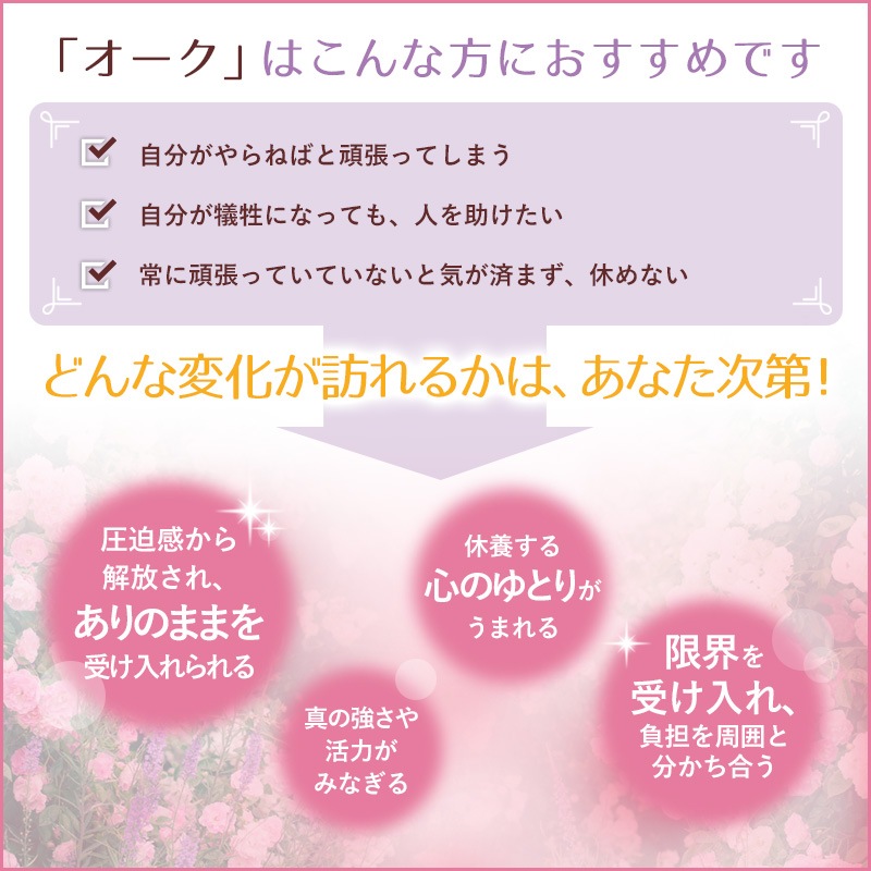 �������ʿ��ζ����ˡԥХå��ե����ǥ���10ml