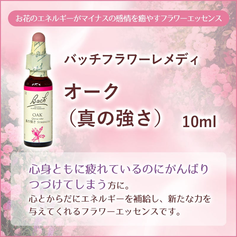 �������ʿ��ζ����ˡԥХå��ե����ǥ���10ml