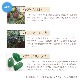 パーフェクトジョブ（完璧な職）《アンシェントメモリーオイル》15ml