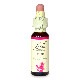 パイン（Pine）（許し）《バッチフラワーレメディ》10ml