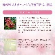 レッドチェストナット（安心感）《バッチフラワーレメディ》10ml