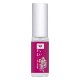 フジ（5月）（ 陰湿さの中での葛藤）《ファーイーストフラワーエッセンス》10ml