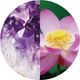 第7チャクラエッセンス（Crown Chakra）《シャンドゥルール》20ml