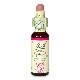 スターオブベツレヘム（癒し）《バッチフラワーレメディ》10ml