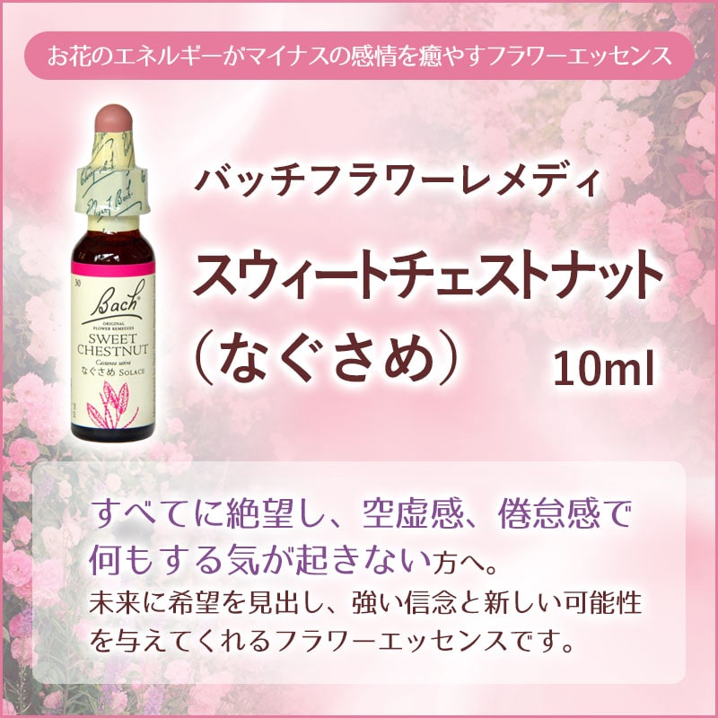 スウィートチェストナット（なぐさめ）《バッチフラワーレメディ》10ml