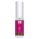 キンモクセイ（10月）（ 未来への希望）《ファーイーストフラワーエッセンス》10ml