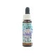 ラウンドリーフ オーキッド《アラスカンエッセンス》7.5ml