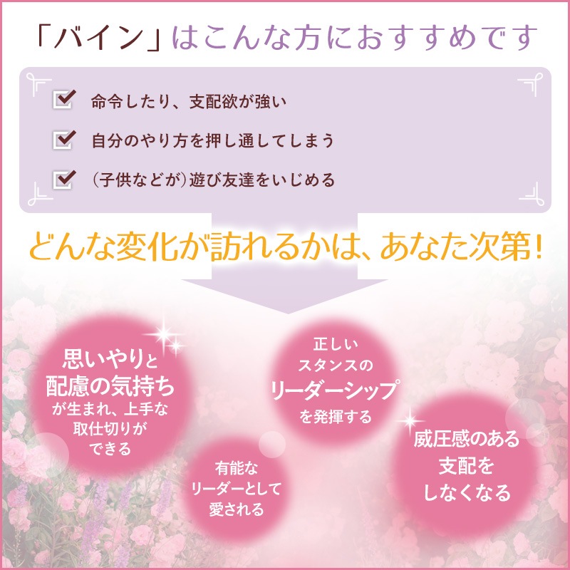 �Х����Vine�ˡʥ��󥹥ѥ����ˡԥХå��ե����ǥ���10ml