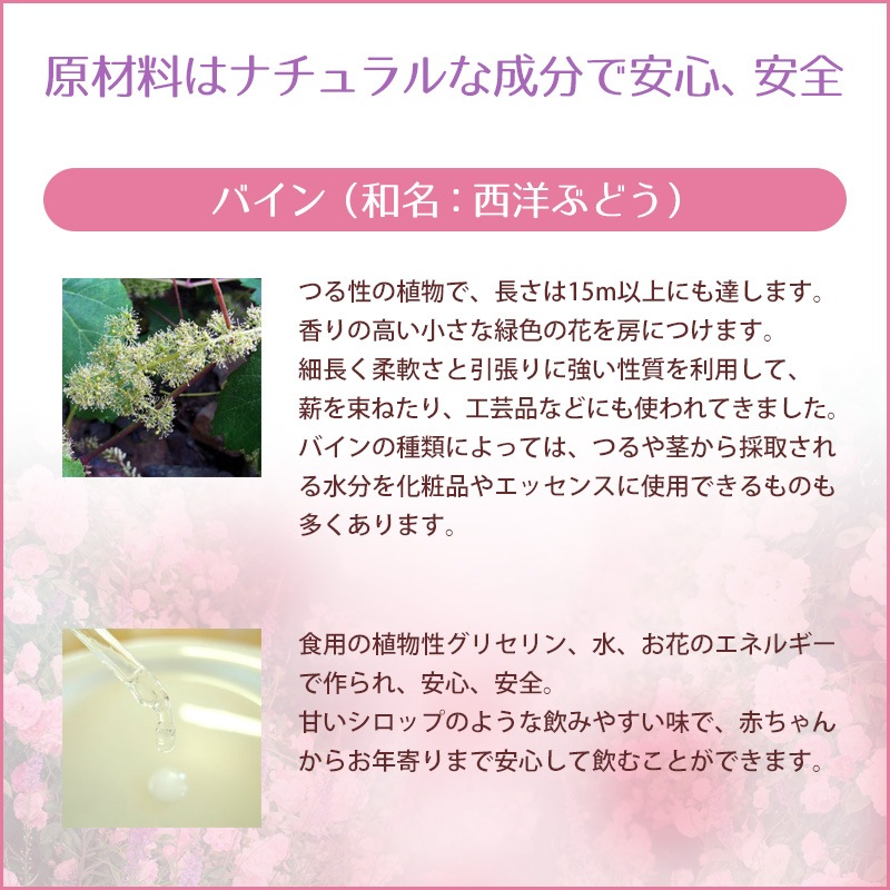 �Х����Vine�ˡʥ��󥹥ѥ����ˡԥХå��ե����ǥ���10ml