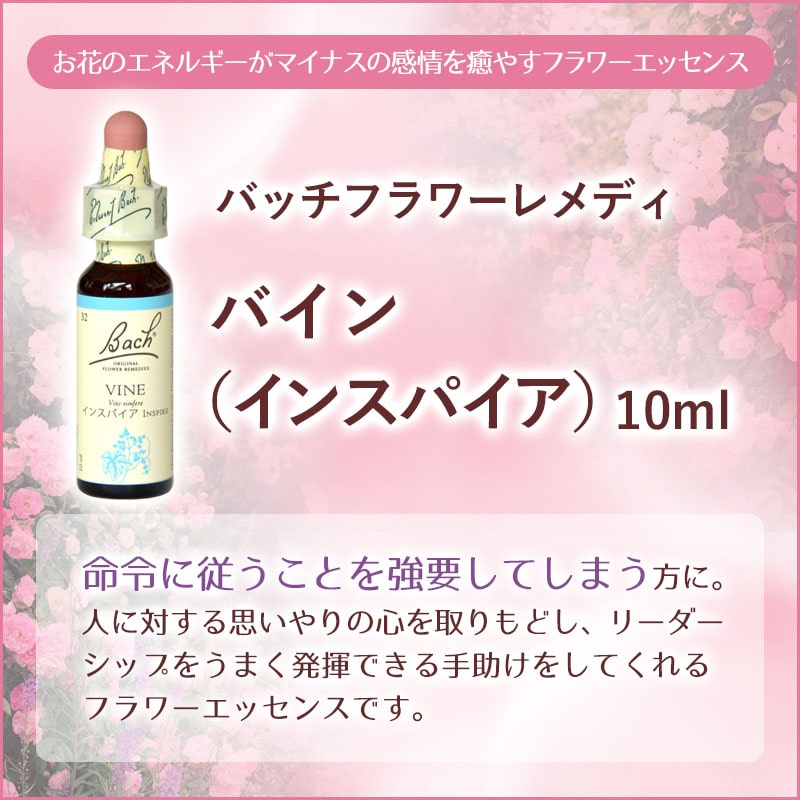 �Х����Vine�ˡʥ��󥹥ѥ����ˡԥХå��ե����ǥ���10ml